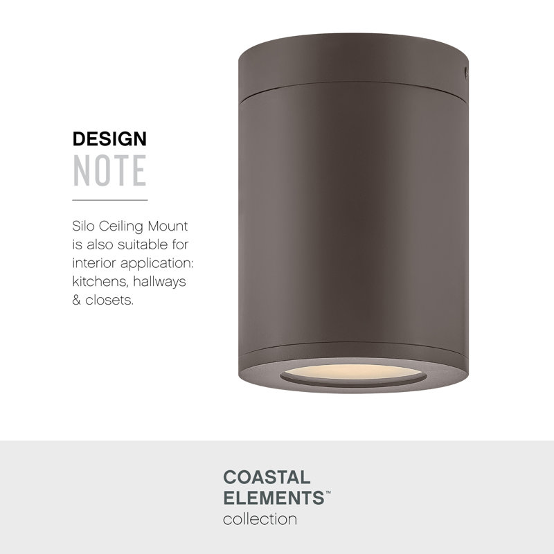 Brissia 1 - Bulb Outdoor Flush Mount, Architectural Bronze
