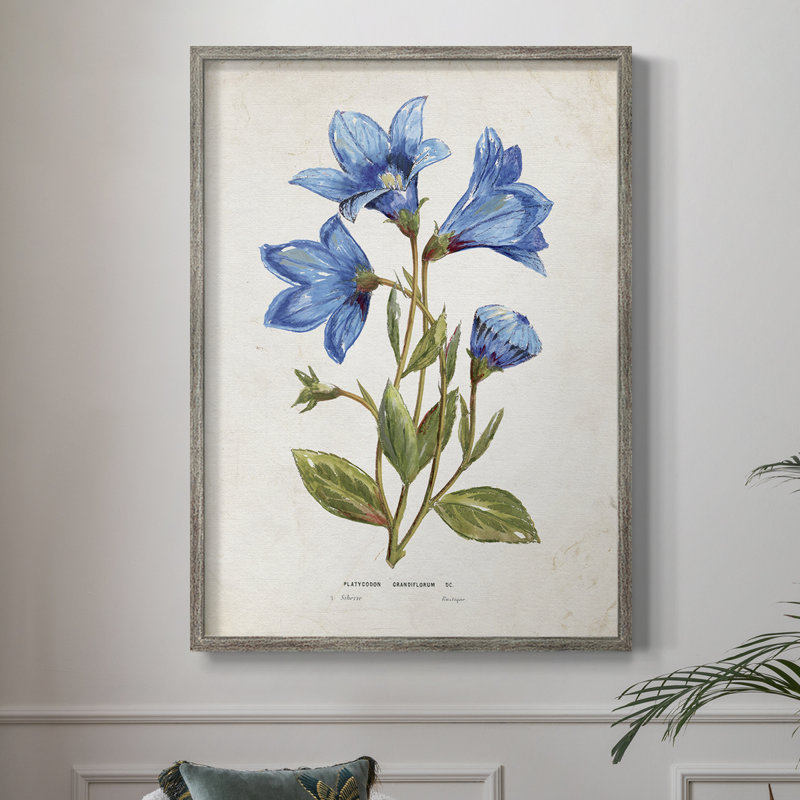 Botanical II Framed Print - Solid Wood, 21" H x 17" W