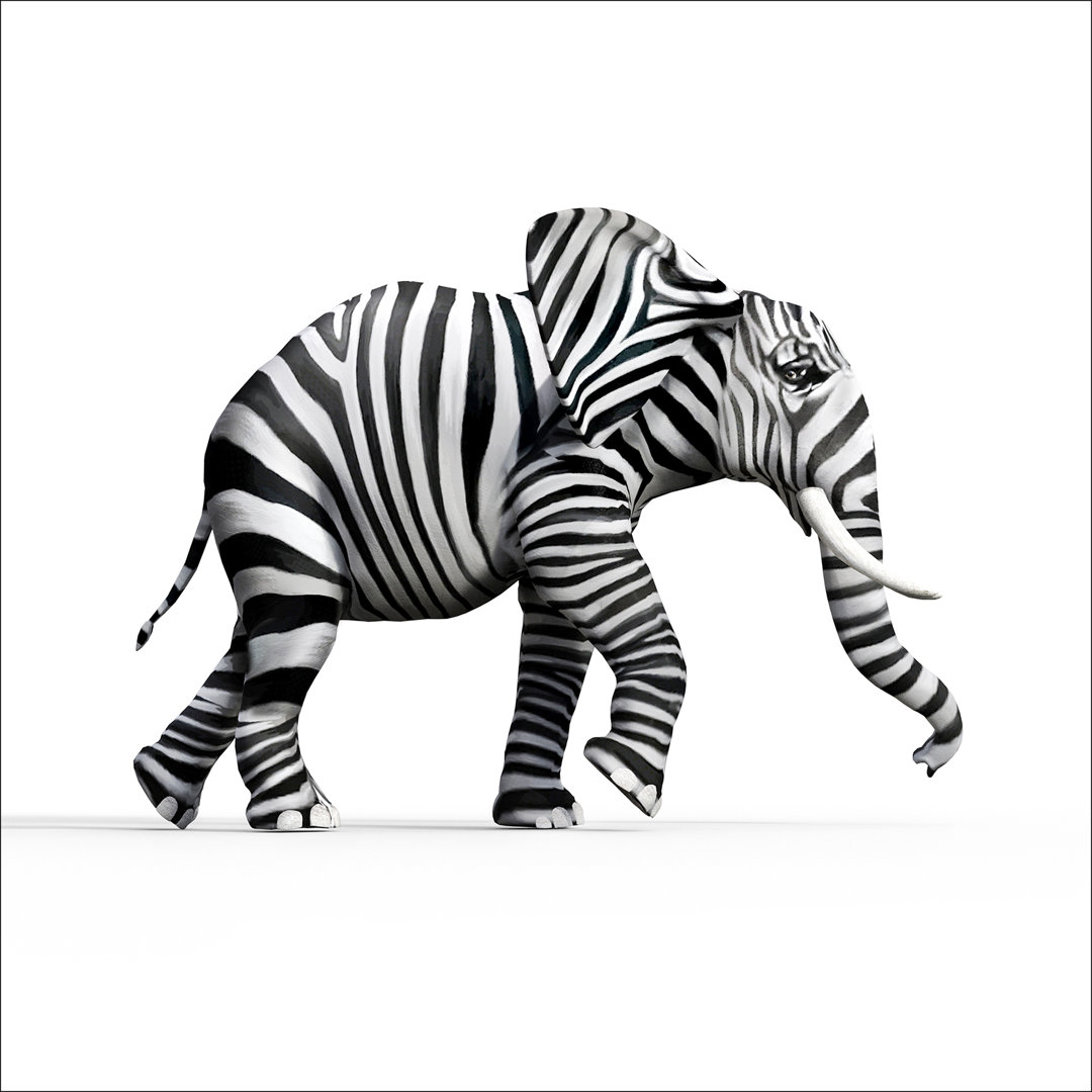 Striped Elephant GLA2601 – Rahmenloser Grafikdruck auf Glas