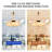 Ceiling Fan with LED Lights