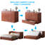 Grand lit escamotable avec station de charge USB et tiroirs de rangement, cerisier-876555237