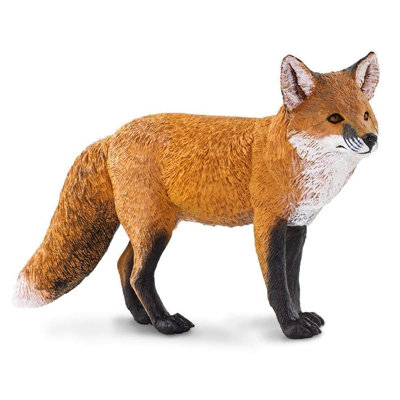 Renard roux
