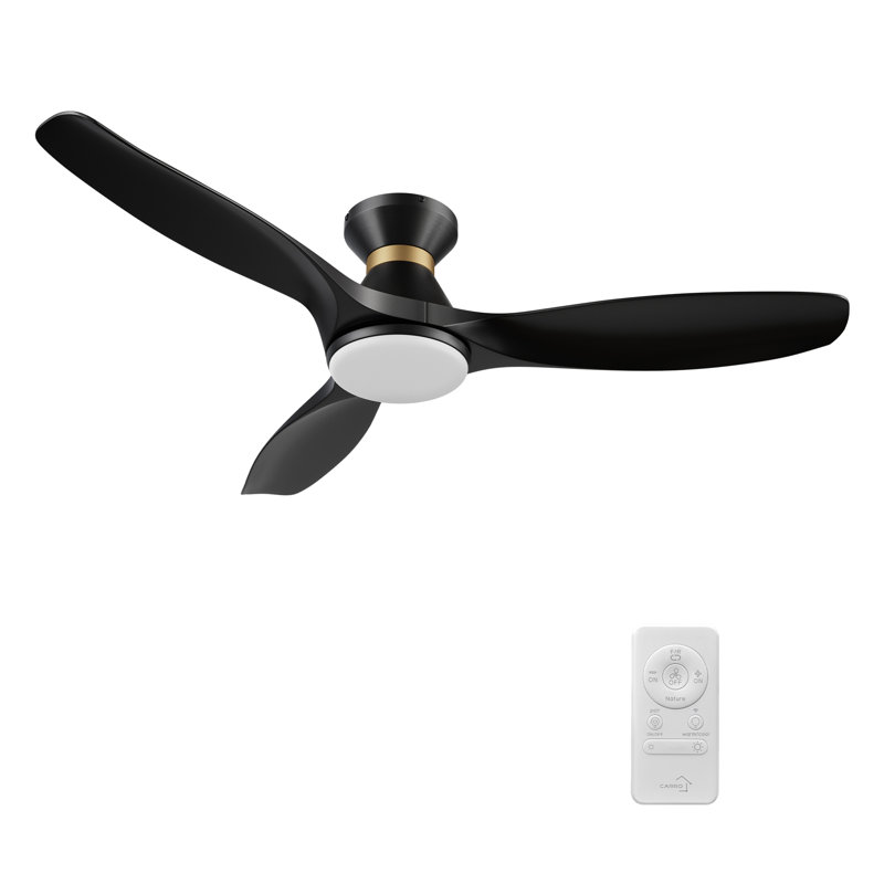 52'' Smart DC Motor Ceiling Fan with Light, Remote Control, Black