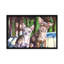 « chihuahuas », reproduction sur toile-32498696-72126168-72126174