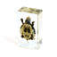 Presse-papiers tortue Auten