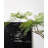 High Imitation Green Plant Jacaranda Tree