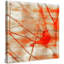 Parvez Taj - Wrapped Canvas Print-16671813