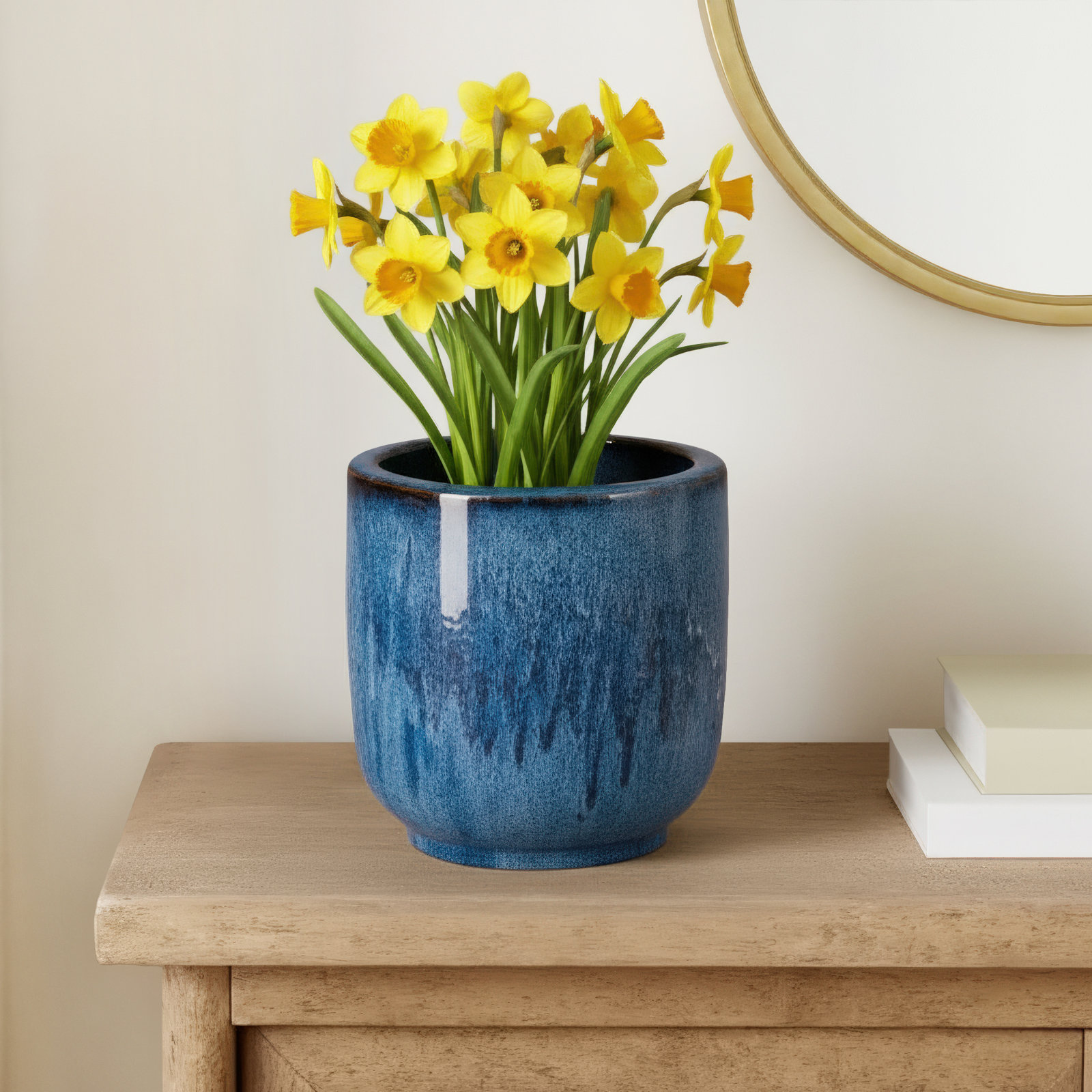 Jakayle Ceramic Pot Planter, 11" H x 10" W x 10" D