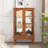 2 Doors Curio Cabinet With Tempered Glass Doors-1125049052