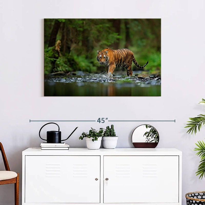 Brampt Tiger In The River, 24" H x 36" W