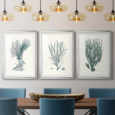 Antique Coastal Coral VI - reproduction encadrée de qualité supérieure sur mesure mat - 3 pièces