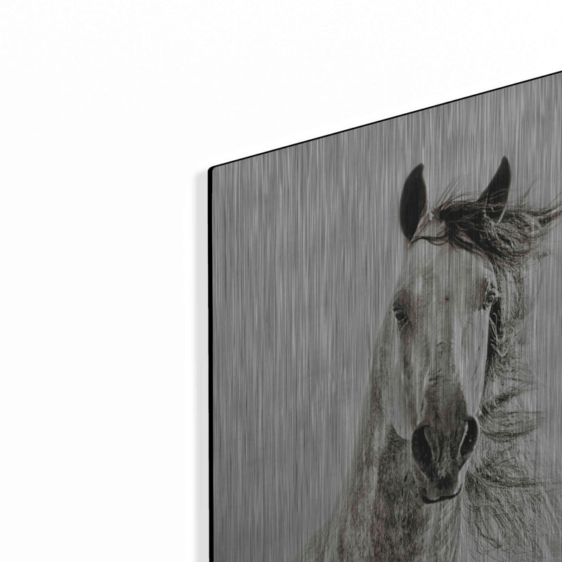 "Caballo De Andaluz" par Lisa Dearing, H 24 po x l 16 po
