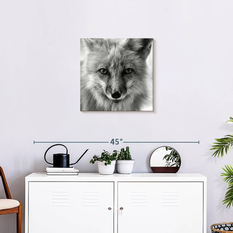 Crowle Fox Portrait, 20" H x 20" W