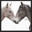 Gentle Herd - Photographie à cadre flottant sur toile-40822797