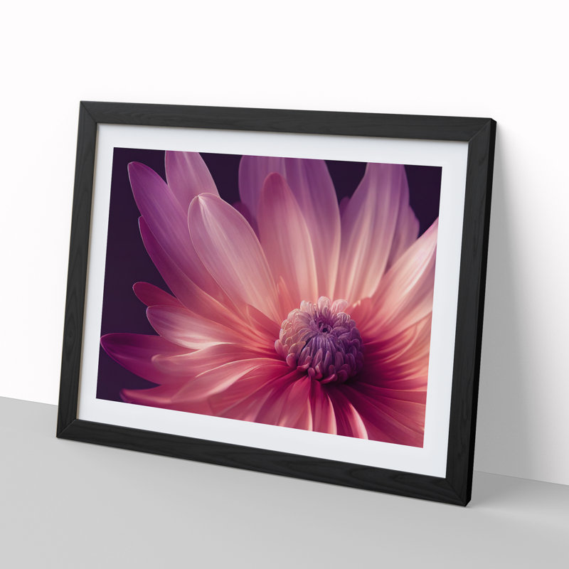 Cute Chrysanthemum Flower Vol.4 - Framed Print, 25cm H x 34cm W x 2cm D, Black