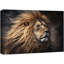 Animaux, lion, crinière de lion, jungle sur toile-93629163-93629166