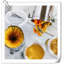 Contenant alimentaire Dollene