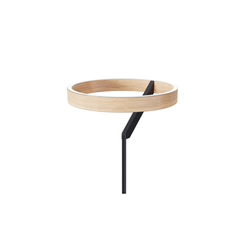 Modern 24W LED Floor Lamp 63" - 2700K Warm Light- Angled Design in Matte Black