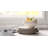 Lx Collective Black LX Collective Porcelain Dinnerware Set - Service for 4-87538890