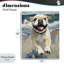 Plaque murale «Sunny Paws Dog on Beach» par Svetlana Aleynikova