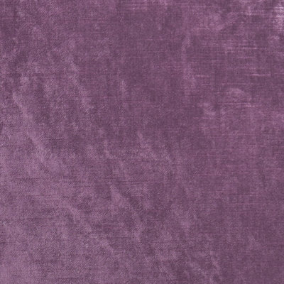 Allure Fabric