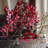 TzuTan Arrangement-1646413181