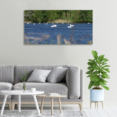 White Swans - No Frame Print on Canvas