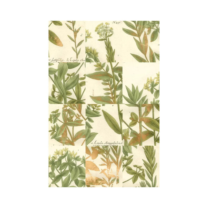 Garden Grid III by Johann Wilhelm Weinmann - Wrapped Canvas Painting, 20.32 cm H x 30.48 cm W