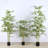 6FT Artificial Bamboo Tree with Realistic Leaves for Home Office