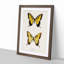 Eastern Tiger Swallowtail Butterfly by S.F. Denton - Picture Frame Graphic Art Print-55537119-55537122
