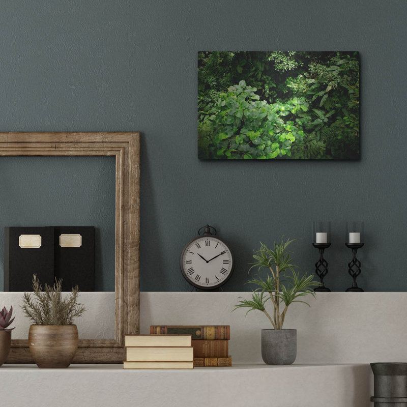 «Rainforest Canopy» par Nicklas Gustafsson, H 12 po x l 16 po