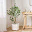 Bonsaï artificiel en feuilles d'eucalyptus-2139249104