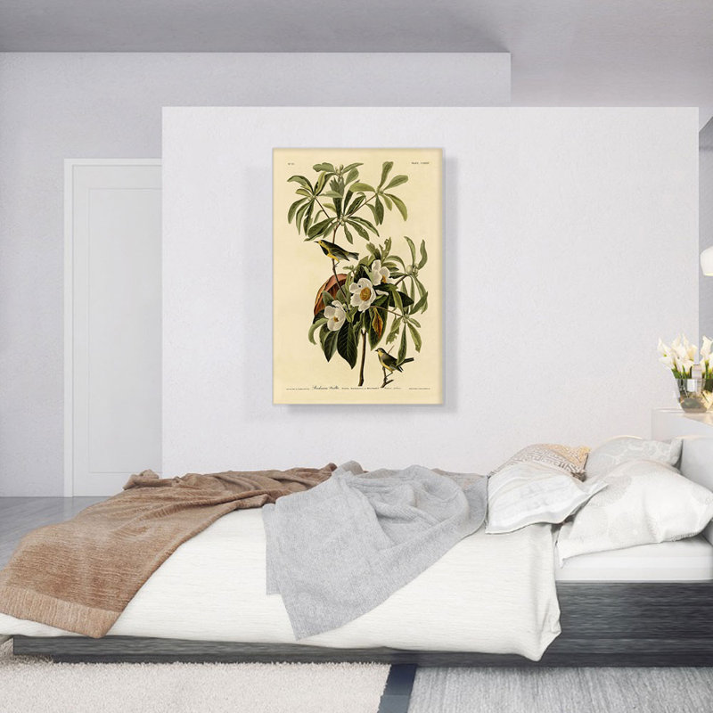 Reproduction d'art sur toile tendue, "Bachman Warbler" par James Audubon, H 40 po x l 26 po x P 1,5 po