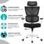 Hruska Office Chair