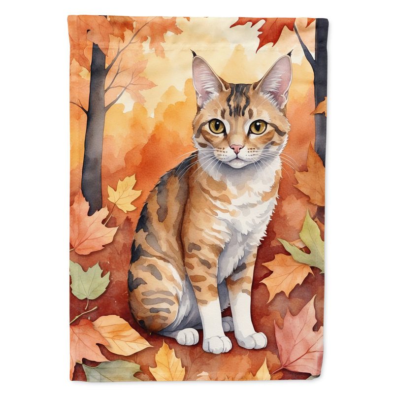 Chat en feuilles d'automne, Oregon Rex