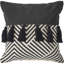 Ensemble de 2 coussins en coton Tassels