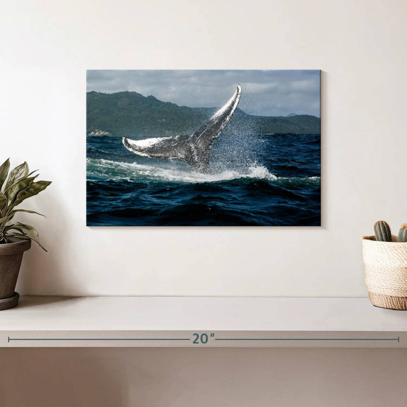 Brampt Samana Humpback Whale, 8" H x 12" W