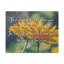 His Face Shine Numbers 6:25-26 - Wrapped Canvas Print-1013241780