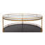 Glass Coffee Table