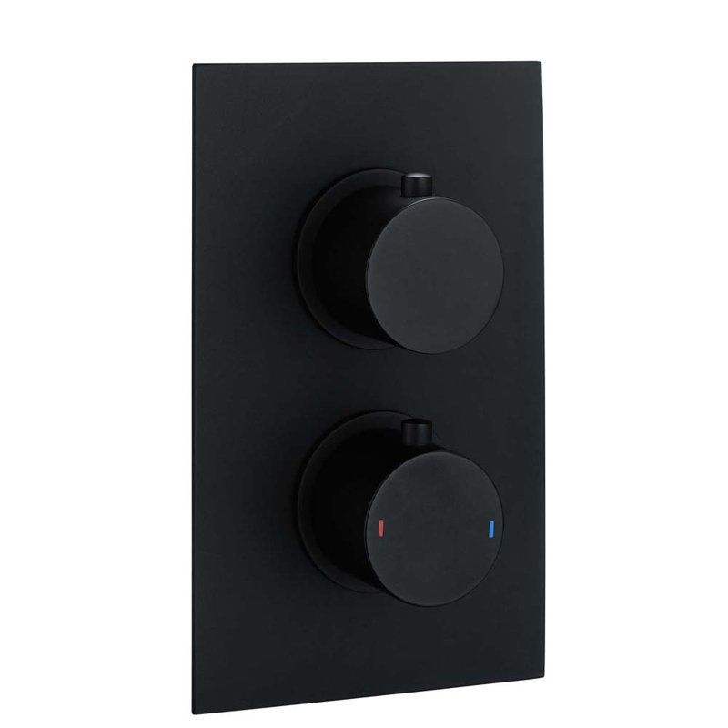 Zella Double Concealed Thermostatic Shower Valve