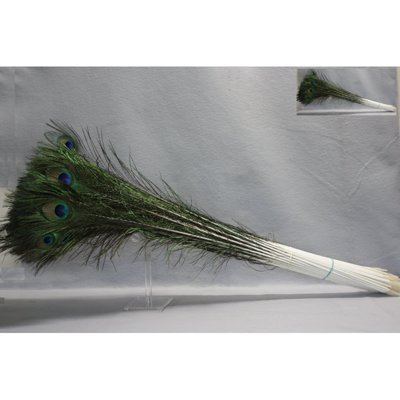 Peacock Feather Arrangement
