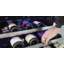 XO 24" Herb and Wine Preservation System-1095356002-1095356012