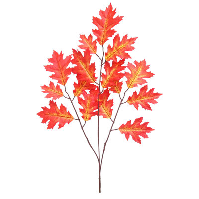 Branche de chêne