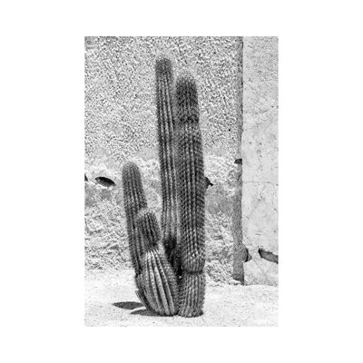 Arizona Series - Cactus by Philippe Hugonnard - Wrapped Canvas Print