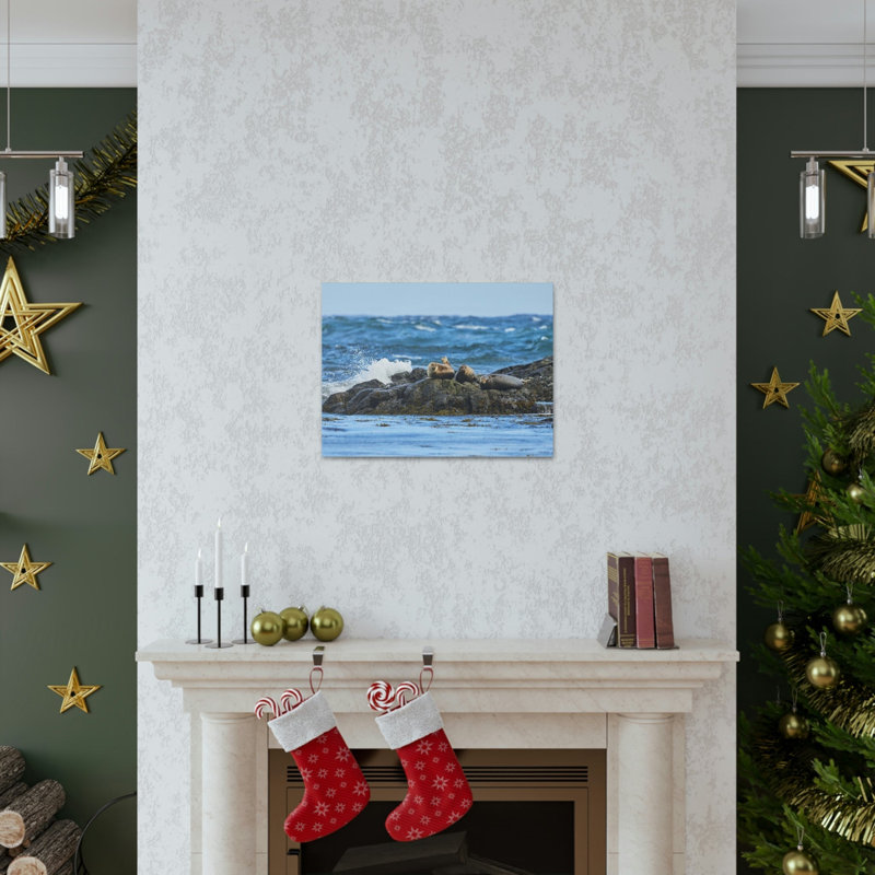 «Seal Group Chilling on the Coastline», art mural, H 12 po x l 18 po