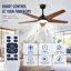 Ventilateur de plafond moderne en bois massif 52 "avec lumière-573097163-573097013