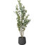 Faux Eucalyptus Tree Plant-1203865729