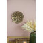 Plaque murale succulente