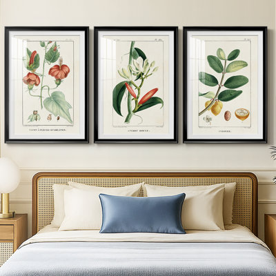 Turpin Tropical Botanicals IV - reproduction sur mesure encadrée de qualité supérieure - 3 pièces