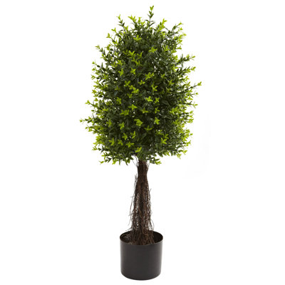 35 po Topiaire Ixora résistant aux rayons UV (intérieur / extérieur)